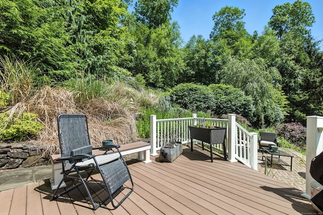 11 Squantz View Dr, New Fairfield, CT 06812 - photo 24