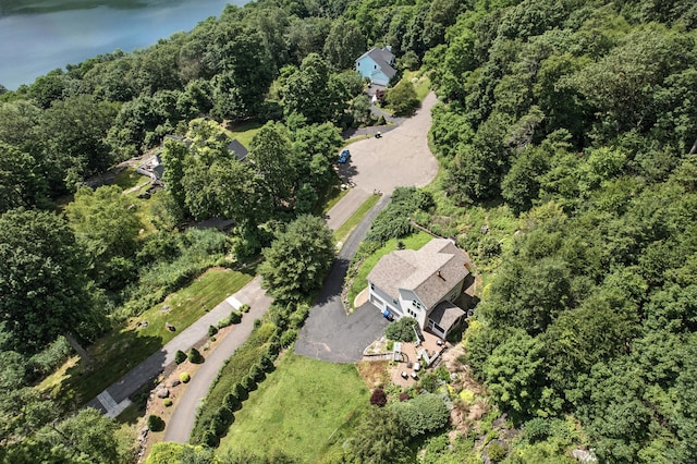 11 Squantz View Dr, New Fairfield, CT 06812 - photo 30