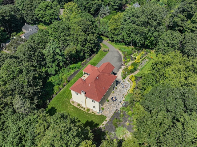 2 Barberry Ln, Farmington, CT 06032 - aerial view of a forest