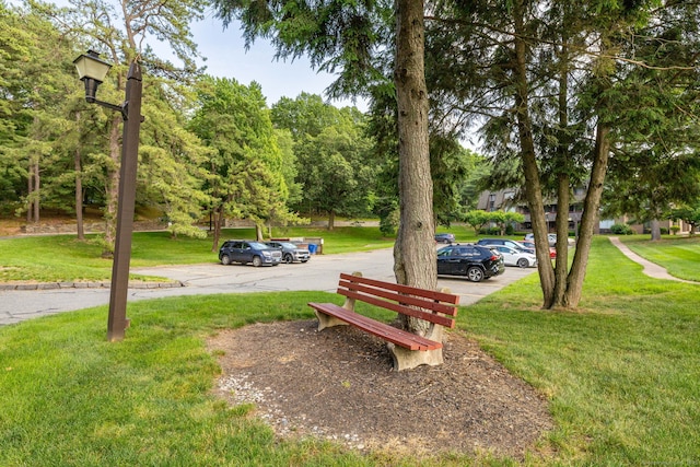 60 Rambling Brook Ln Apt C4, Glastonbury, CT 06033 - photo 27