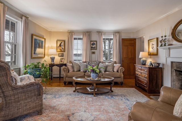 850 Noank Rd, Groton, CT 06355 - living room featuring wood finished floors, a fireplace, a baseboard radiator, and crown molding