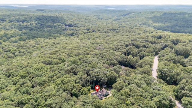 42 Woodmont Cir, East Haddam, CT 06423 - drone / aerial view of a forest