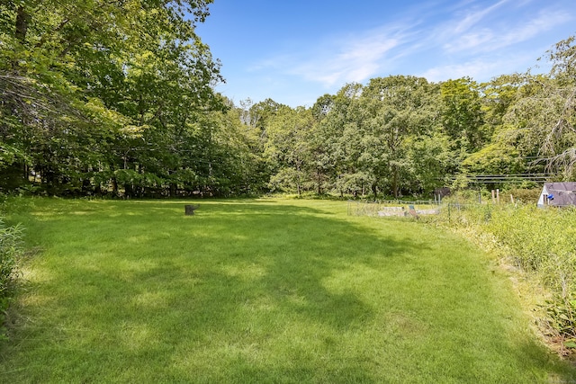 279 Pratt St, Winchester, CT 06098 - view of green lawn featuring a forest view