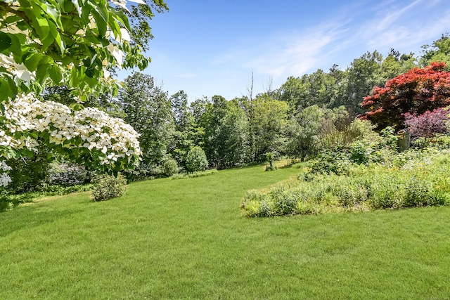 279 Pratt St, Winchester, CT 06098 - view of green lawn