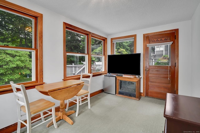 13 Frew Ter, Enfield, CT 06082 - photo 17