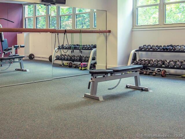 31 Woodland St Unit 7F, Hartford, CT 06103 - workout area featuring carpet and healthy amount of natural light