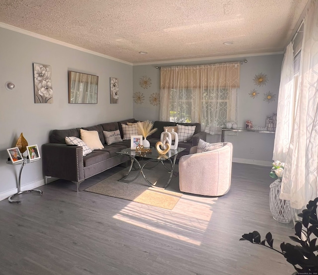 30 Roulin St, Torrington, CT 06790 - living room with a textured ceiling, ornamental molding, and wood finished floors
