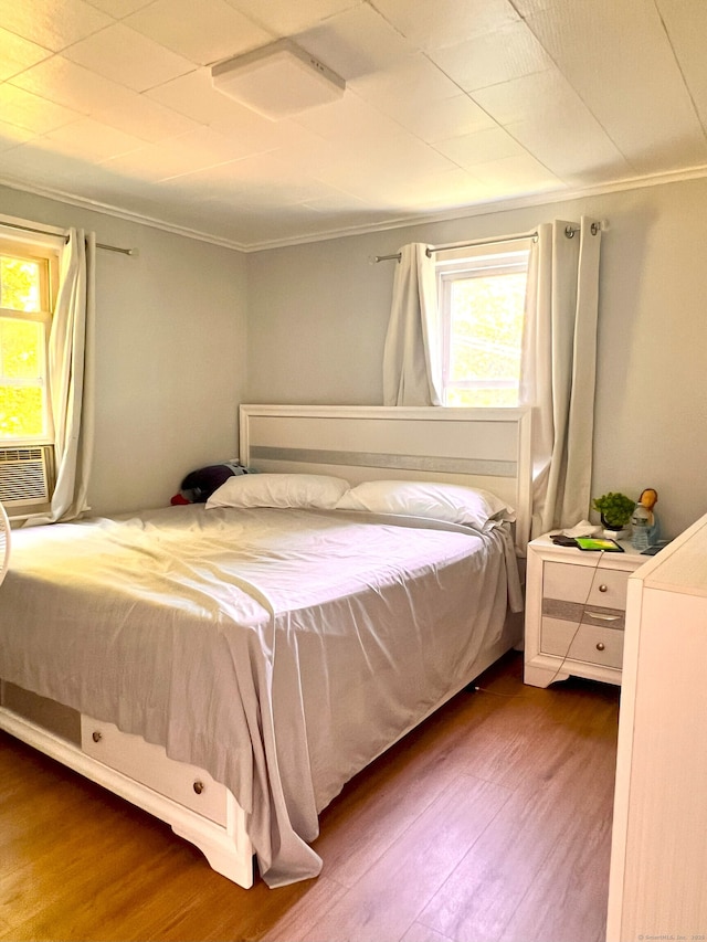 30 Roulin St, Torrington, CT 06790 - bedroom with multiple windows, ornamental molding, and wood finished floors