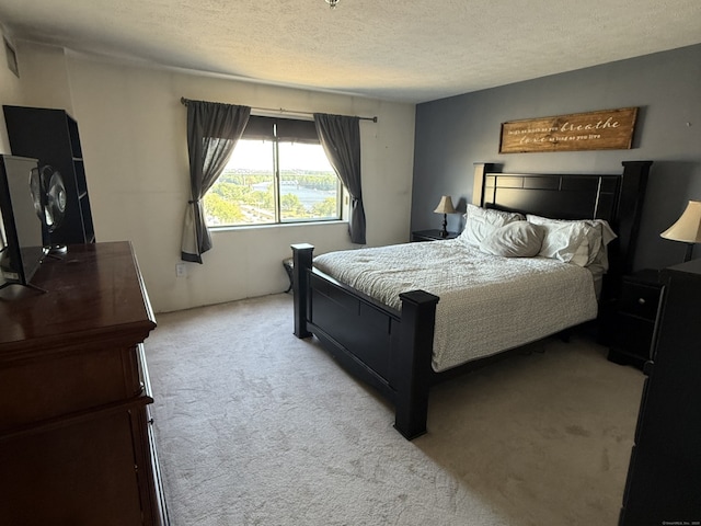 111 Dekoven Dr Apt 1008, Middletown, CT 06457 - bedroom with light carpet and a textured ceiling