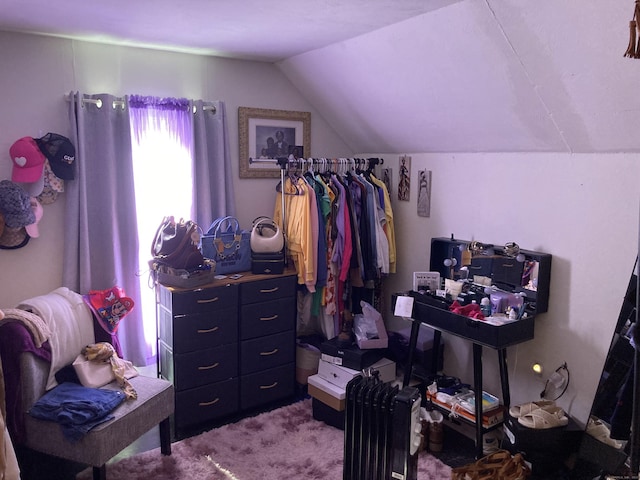 203 E Main St, Middletown, CT 06457 - spacious closet with carpet and lofted ceiling