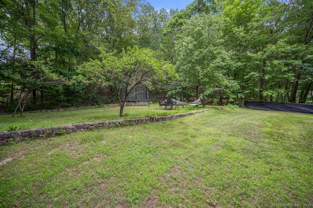 1996 Straits Tpke, Middlebury, CT 06762 - view of grassy yard with a trampoline and a wooded view