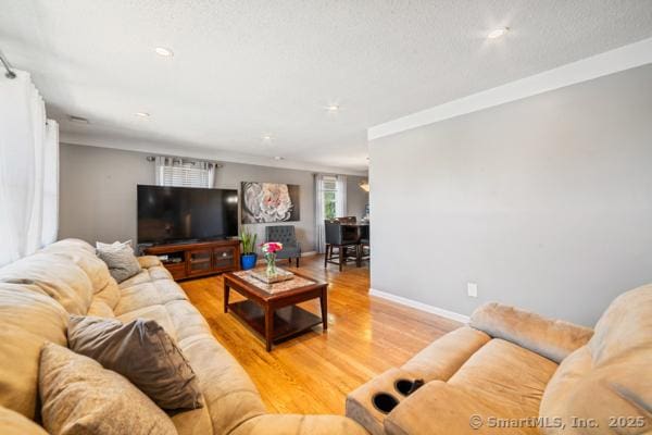 241 White Birch Dr, Waterbury, CT 06708 - photo 5