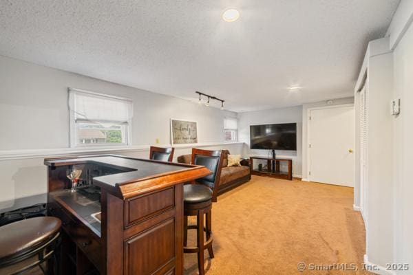 241 White Birch Dr, Waterbury, CT 06708 - photo 28