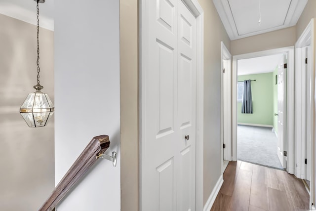 233 Derby Ave Unit 103, Derby, CT 06418 - corridor with wood finished floors and attic access