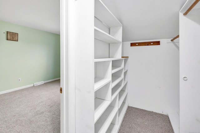 233 Derby Ave Unit 103, Derby, CT 06418 - walk in closet with carpet floors