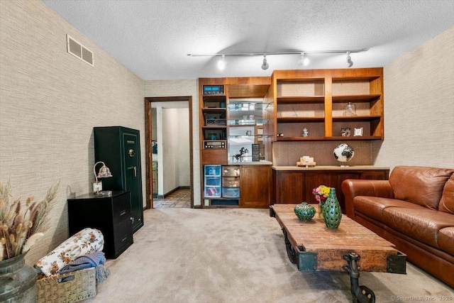 57 Notch Hill Rd, North Branford, CT 06471 - living area with light colored carpet, a textured ceiling, and rail lighting