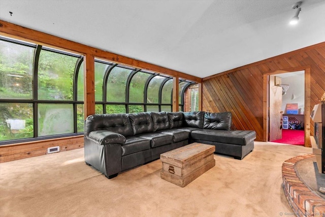 57 Notch Hill Rd, North Branford, CT 06471 - carpeted living area featuring wooden walls and healthy amount of natural light
