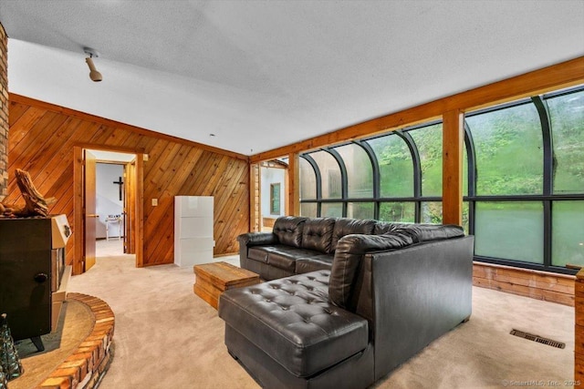 57 Notch Hill Rd, North Branford, CT 06471 - living room with a wood stove, light colored carpet, and wooden walls