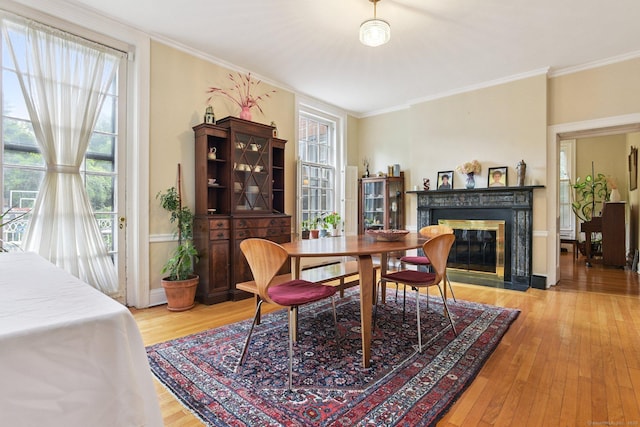 192 Bishop St, New Haven, CT 06511 - photo 8