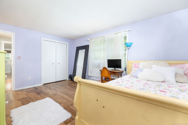 55 Charles Mary Dr, East Hampton, CT 06424 - bedroom with wood finished floors, multiple windows, and a closet