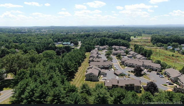 1102 Summer Hill Dr Unit 1102, South Windsor, CT 06074 - bird's eye view of a forest