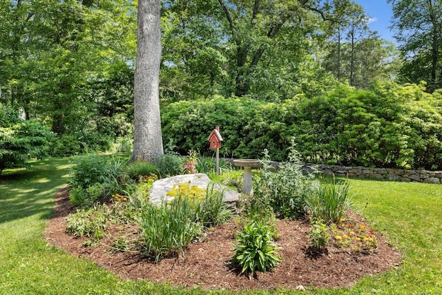 91 Fox Run Rd, New Canaan, CT 06840 - view of green lawn