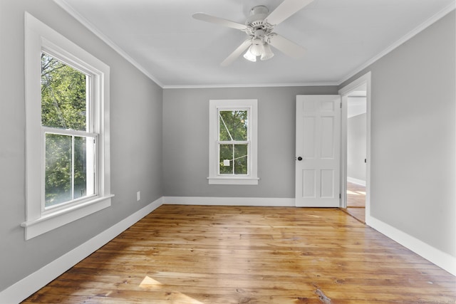29 Gilyard St, Seymour, CT 06483 - empty room featuring crown molding, light wood-style flooring, and ceiling fan
