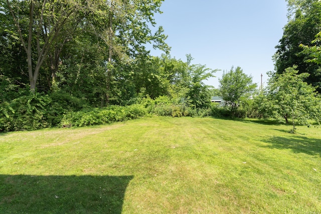 46 Pleasant Ave, Berlin, CT 06037 - view of grassy yard