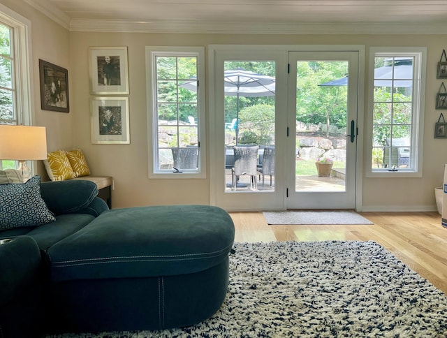 262 Linden Tree Rd, Wilton, CT 06897 - doorway with crown molding, plenty of natural light, and wood finished floors