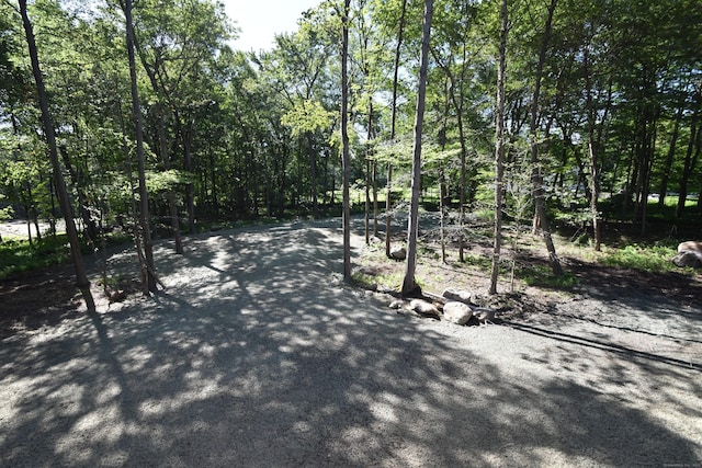 152 Buff Cap Rd, Tolland, CT 06084 - view of street with a forest view