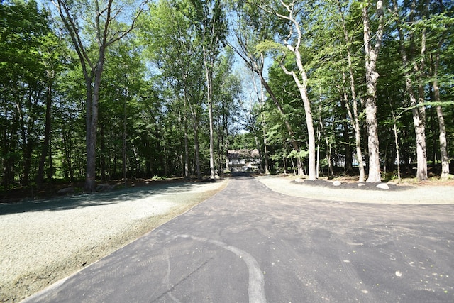 152 Buff Cap Rd, Tolland, CT 06084 - view of asphalt driveway with a view of trees