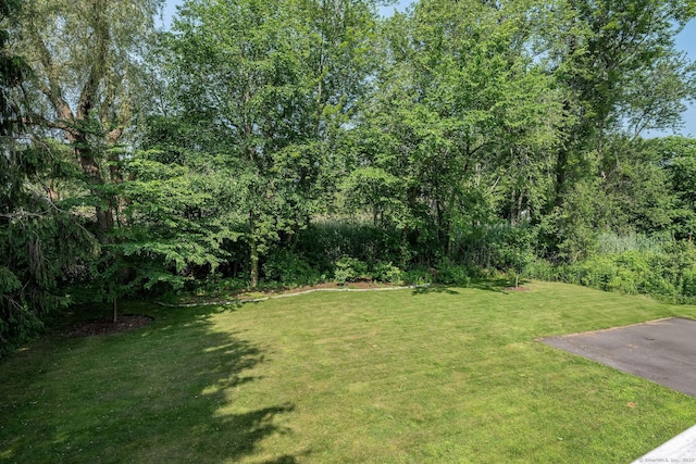 15 Rosemary Ln, Guilford, CT 06437 - view of green lawn