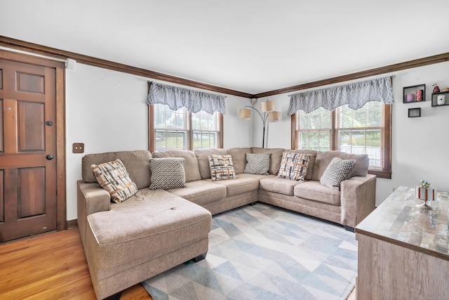 1462 Cutspring Rd, Stratford, CT 06614 - living room with crown molding and light wood-style flooring