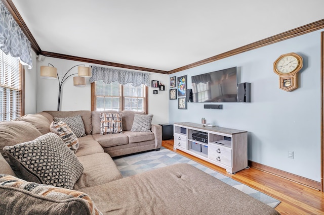 1462 Cutspring Rd, Stratford, CT 06614 - living room with ornamental molding and wood finished floors