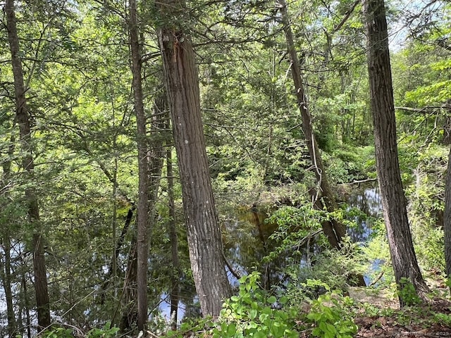 26 Depot Rd, Haddam, CT 06441 - view of wooded area