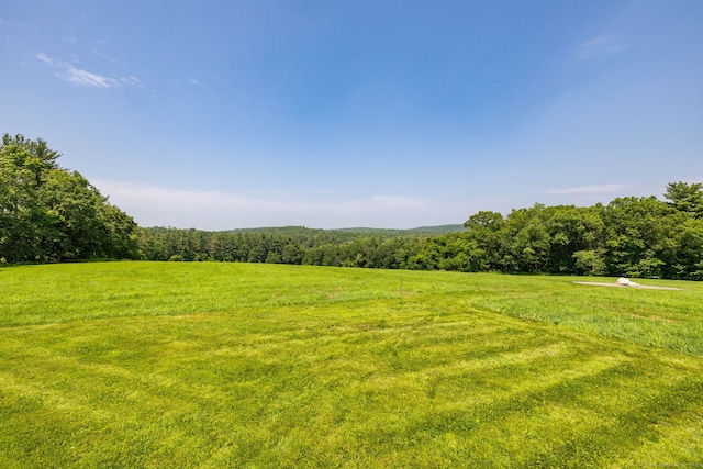 1669 Rte 169, Woodstock, CT 06281 - view of grassy yard with a view of trees and a view of countryside
