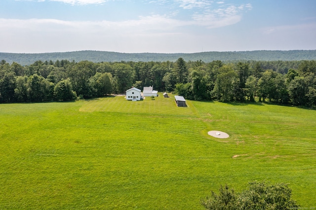 1669 Rte 169, Woodstock, CT 06281 - view of rural area with a forest