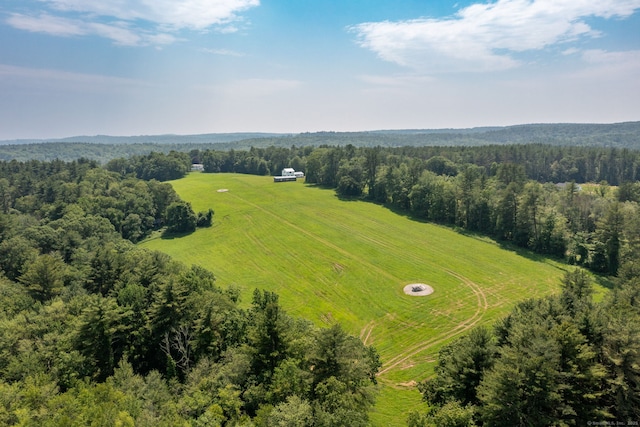 1669 Rte 169, Woodstock, CT 06281 - aerial view of sparsely populated area featuring a forest