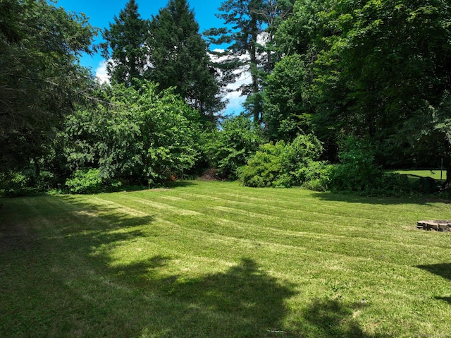 86 Gabb Rd, Bloomfield, CT 06002 - photo 37