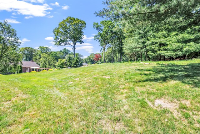 30 Cali Dr, Shelton, CT 06484 - photo 34