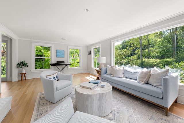 289 Wahackme Rd, New Canaan, CT 06840 - living room with light wood-style flooring and crown molding