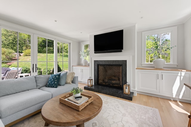 289 Wahackme Rd, New Canaan, CT 06840 - living room with crown molding, light wood-type flooring, and a fireplace