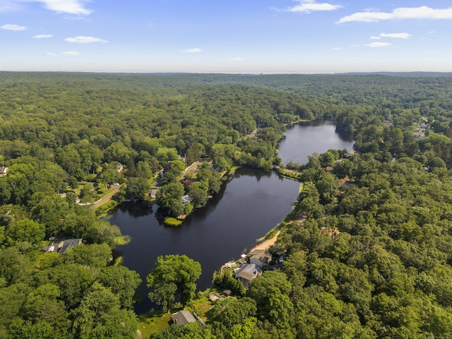 79 Fall Rd, Guilford, CT 06437 - photo 35