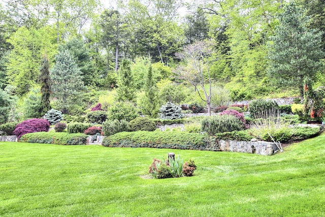 29 Bradley Rd, Weston, CT 06883 - view of green lawn