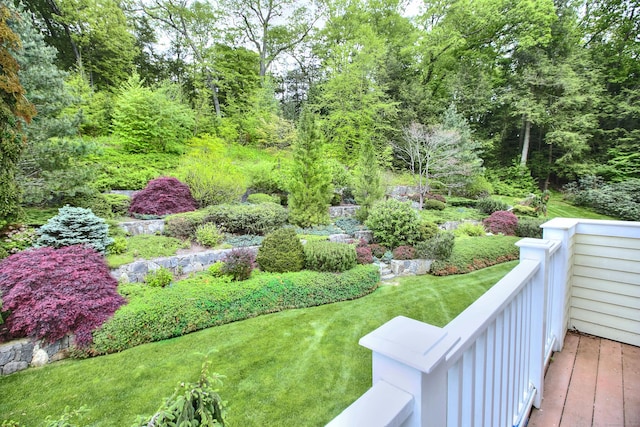 29 Bradley Rd, Weston, CT 06883 - view of yard