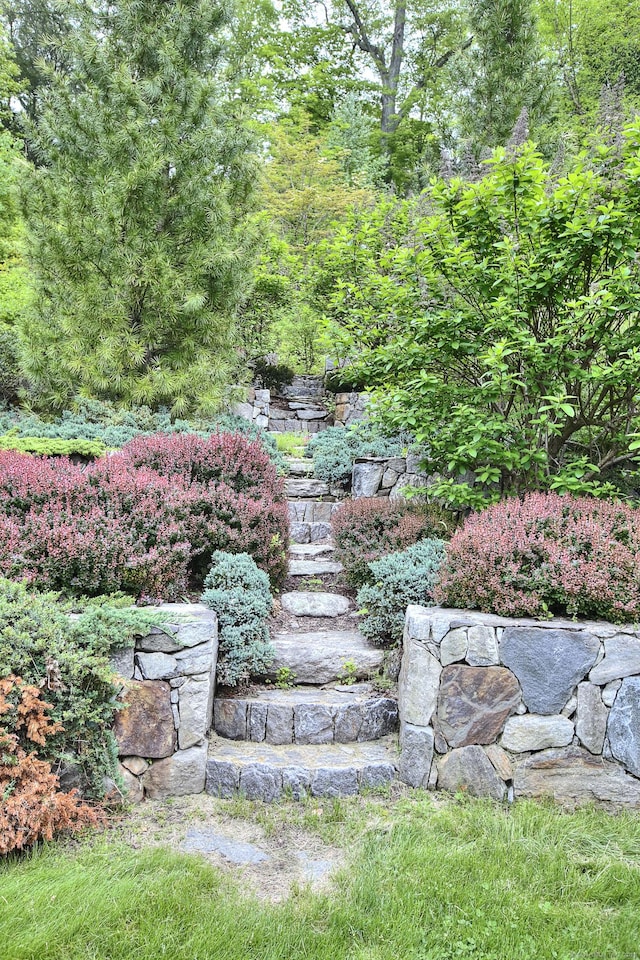 29 Bradley Rd, Weston, CT 06883 - view of yard