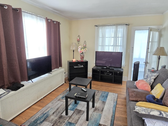 48 Scott St, East Hartford, CT 06118 - living room with radiator heating unit, crown molding, and wood finished floors