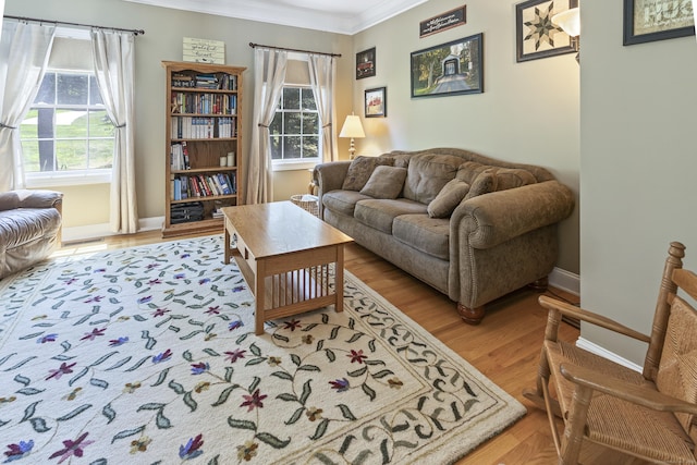 18 Jeans Ct, Woodstock, CT 06281 - living area with ornamental molding, healthy amount of natural light, and wood finished floors