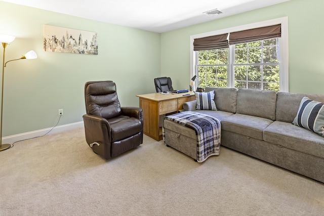 18 Jeans Ct, Woodstock, CT 06281 - living room featuring light colored carpet and an office area