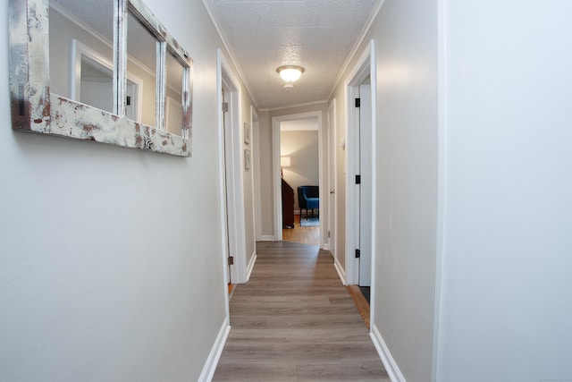 33 Federal St, West Hartford, CT 06110 - photo 13